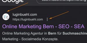 Autor Box und Favicon - Suchmaschinenoptimierung