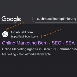 Autor Box und Favicon - Suchmaschinenoptimierung
